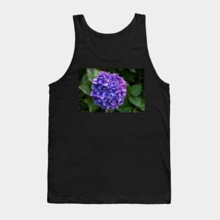 Hydrangea Flower Violet & Blue With Green Foliage Tank Top